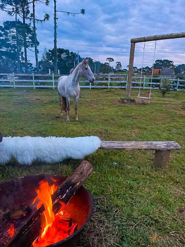Platto Da Neve:Jacuzzi E Lareira Em Urubici Rg2775ヴィラ エクステリア 写真