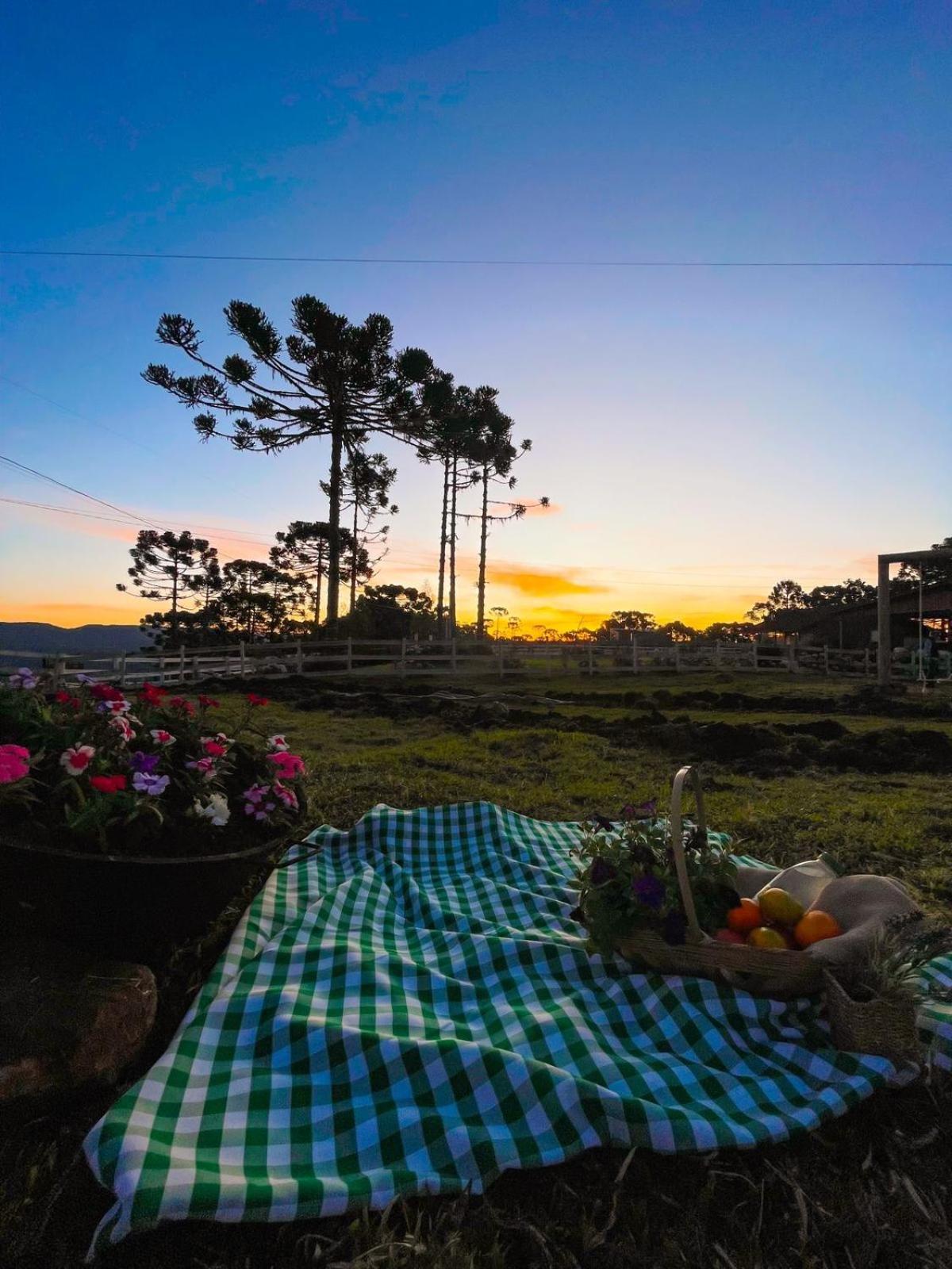 Platto Da Neve:Jacuzzi E Lareira Em Urubici Rg2775ヴィラ エクステリア 写真